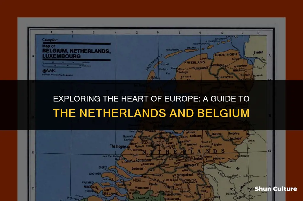 where are the netherlands and belgium located