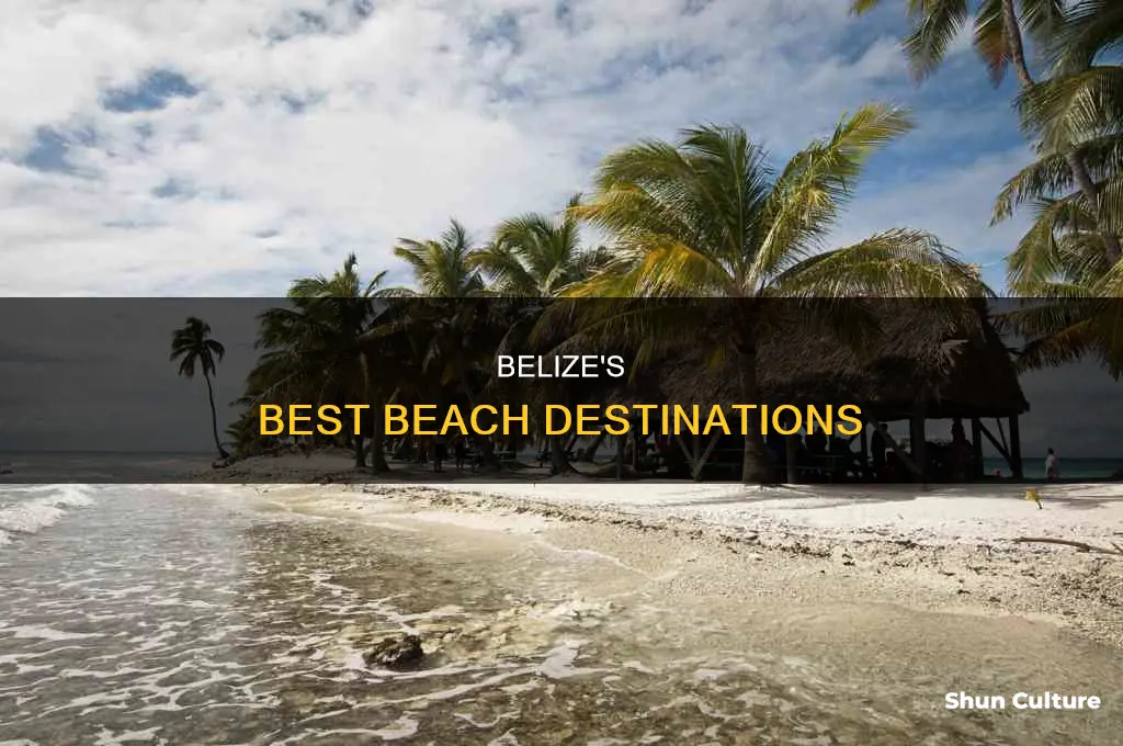 where are the nices beaches in belize