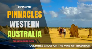 Exploring the Pinnacles in Western Australia: A Desert Mystery