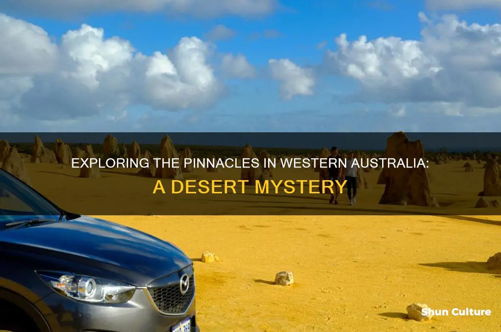 where are the pinnacles western australia