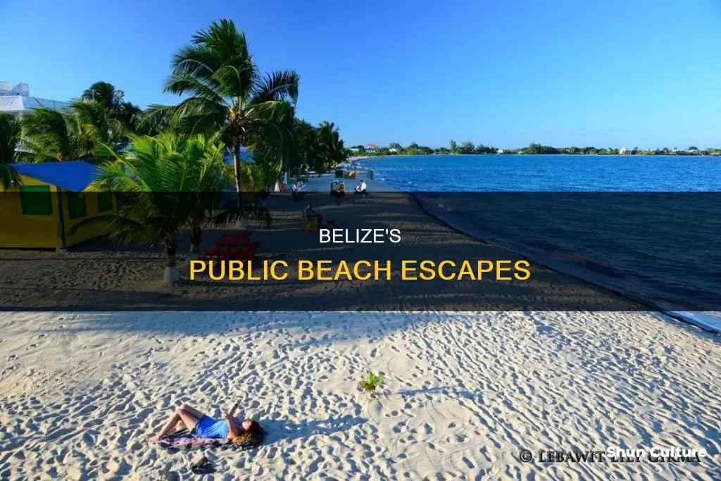 where are the public beaches in belize