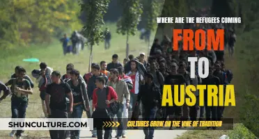 Austria's Refugee Influx: Where Are They Coming From?