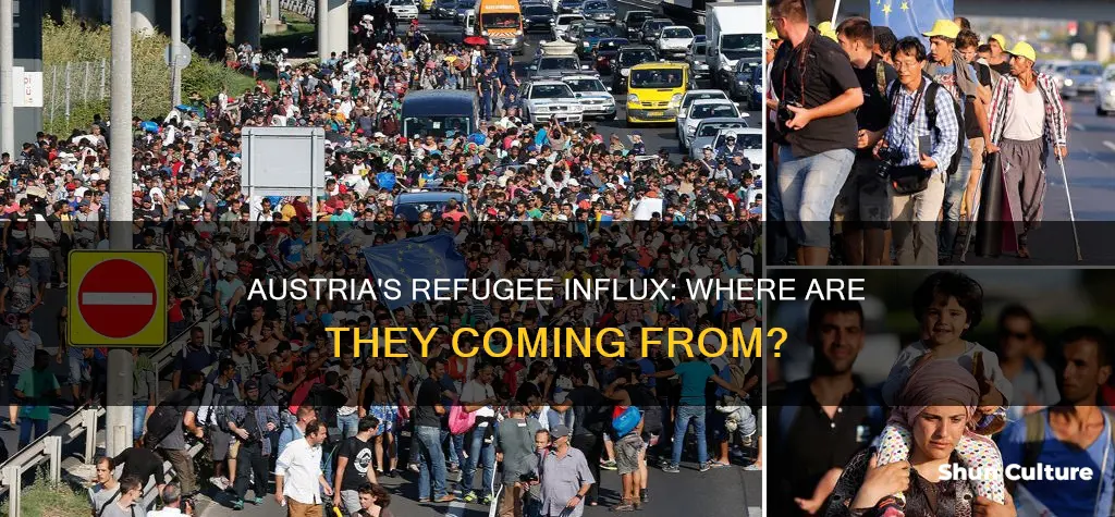 where are the refugees coming from to austria