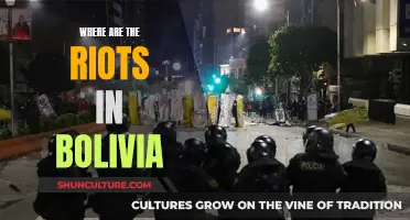 Bolivia's Riots: Where and Why?