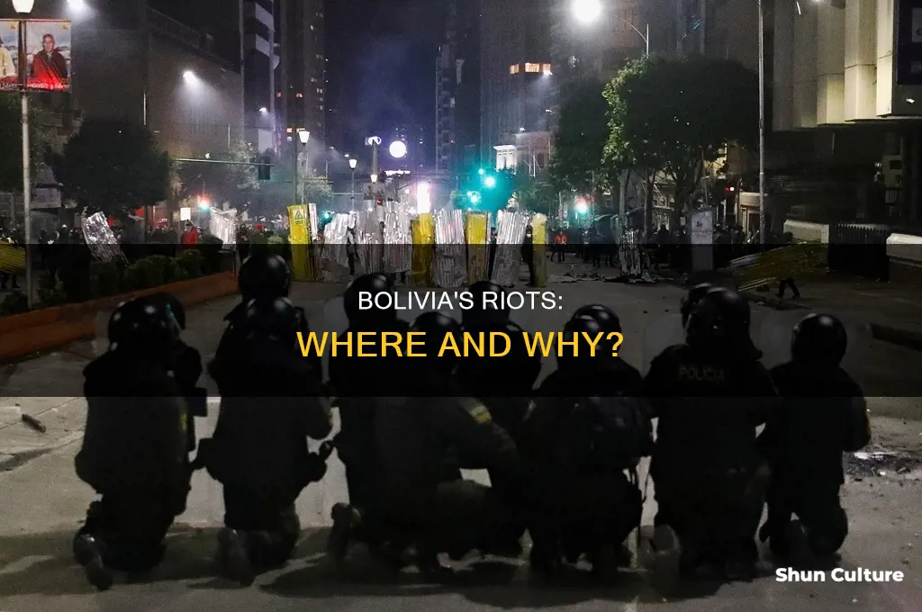 where are the riots in bolivia