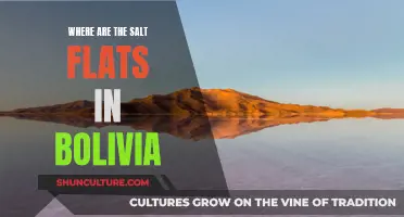 Bolivia's Salt Flats: A Natural Wonder in South America