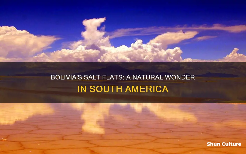 where are the salt flats in bolivia