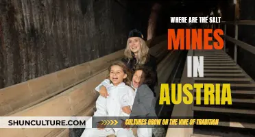 Exploring Austria's Historic Salt Mines: An Underground Adventure