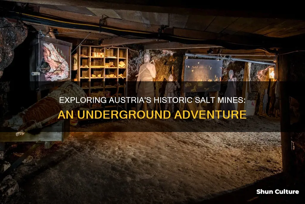 where are the salt mines in austria