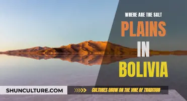 Bolivia's Salt Plains: A Natural Wonder in South America