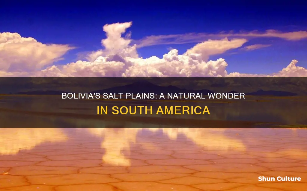 where are the salt plains in bolivia