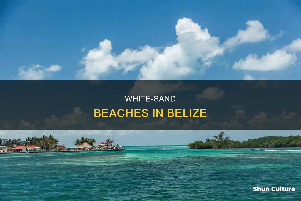 where are the sandy white beaches in belize