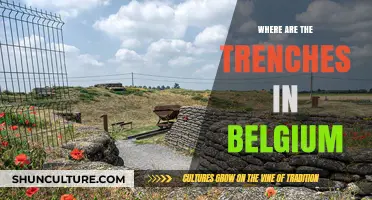 Exploring Belgium's Historic Trenches: A Journey Through Time