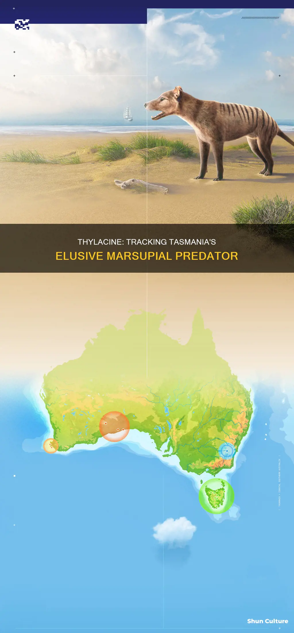 where are thylacine found in australia
