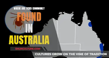 Ticks in Australia: Common Habitat Regions and Locations