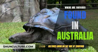Tortoises in Australia: Natural Habitat and Locations