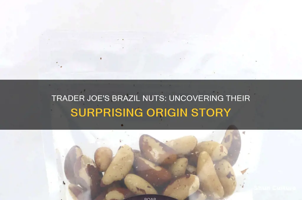 where are trader joe