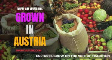 Austrian Vegetable Sources: Farm to Table