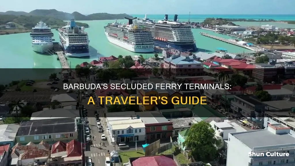 where arrive the ferry in barbuda