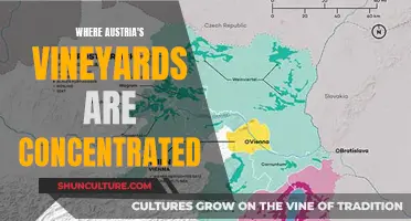 Austria's Vineyards: Exploring the Country's Concentrated Wine Regions