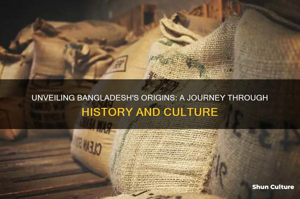 where bangladesh came from