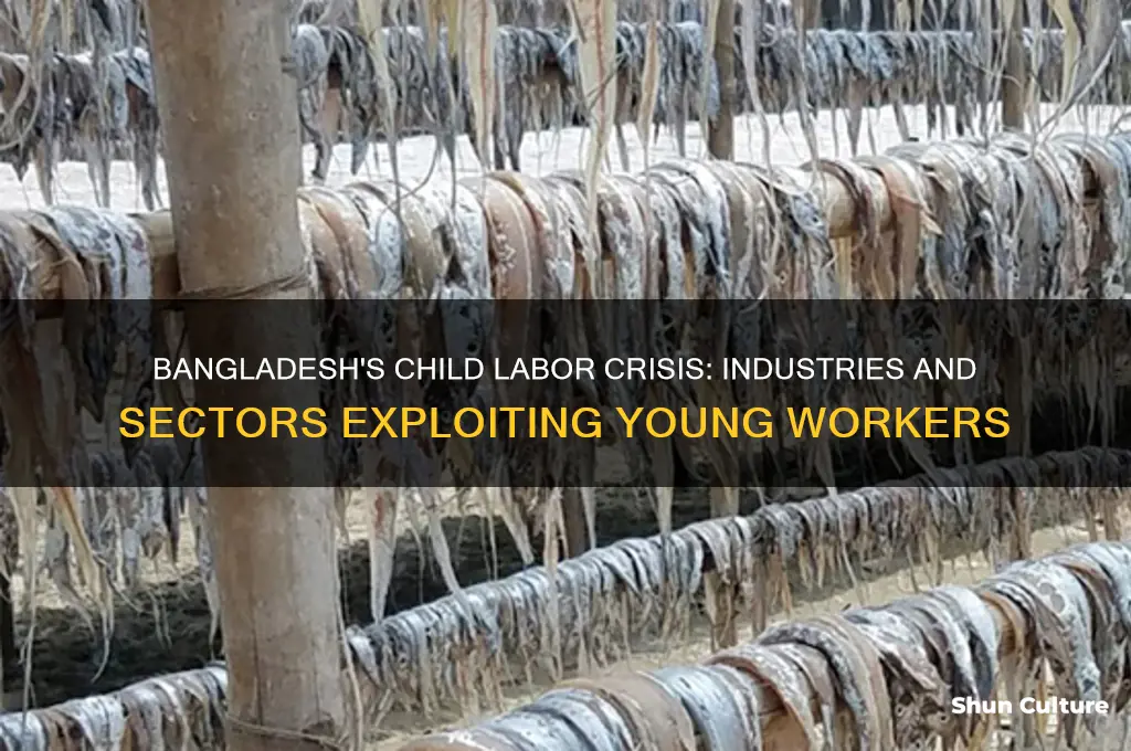 where bangladesh child laborers work