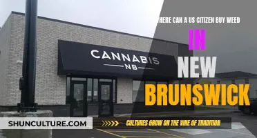 Weed in New Brunswick: Where to Buy?