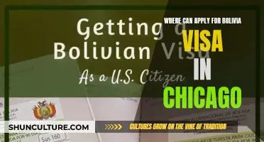 Chicago Options for a Bolivian Visa