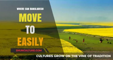 Exploring Ideal Relocation Options for Bangladesh: Easy Moves Ahead