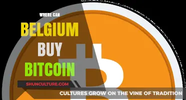 Where Can Belgium Buy Bitcoin: Top Platforms and Options