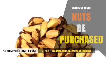 Where to Buy Brazil Nuts: Top Retailers and Online Sources