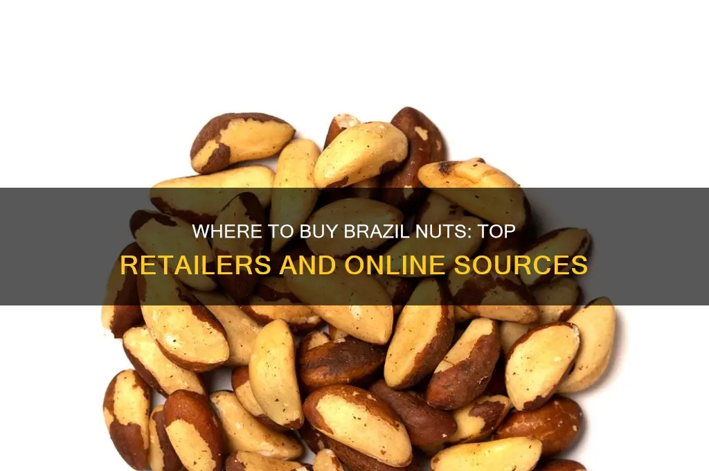 where can brazil nuts be purchased