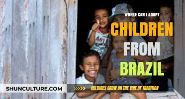 Adopting from Brazil: A Guide to Finding Your Child