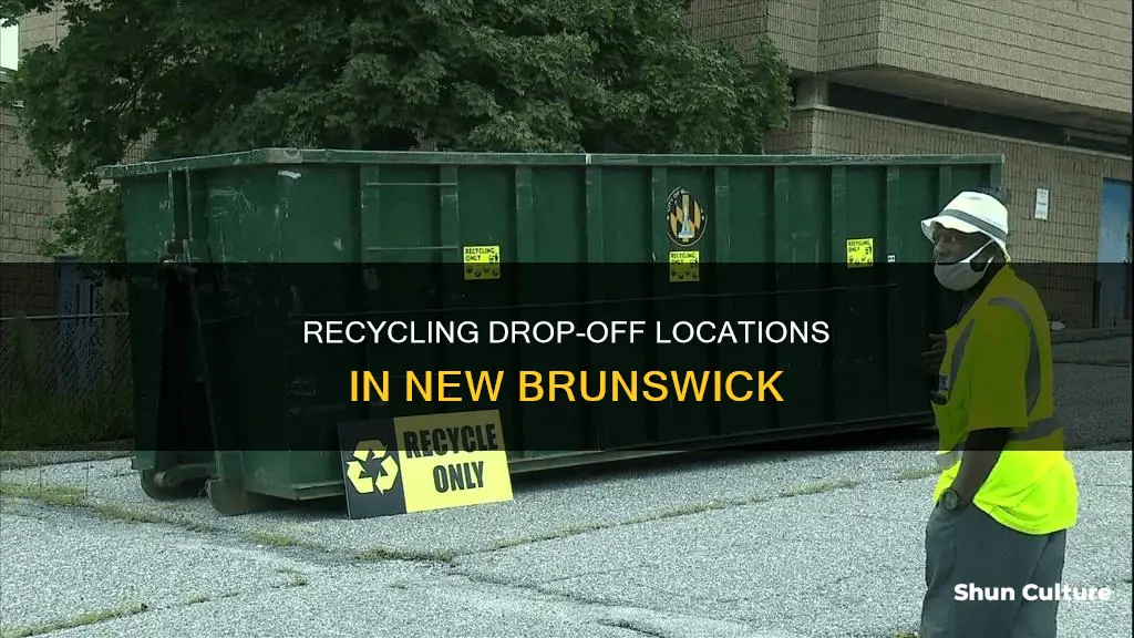 where can I bring my recycling new brunswick