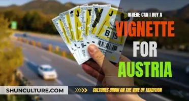 Buy Austrian Vignettes: Online, Gas Stations, Border Crossings