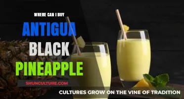 Discover Where to Buy Authentic Antigua Black Pineapple Online & Locally
