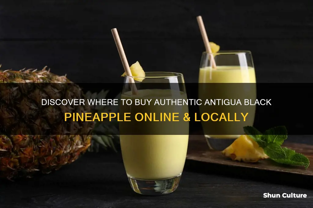 where can I buy antigua black pineapple
