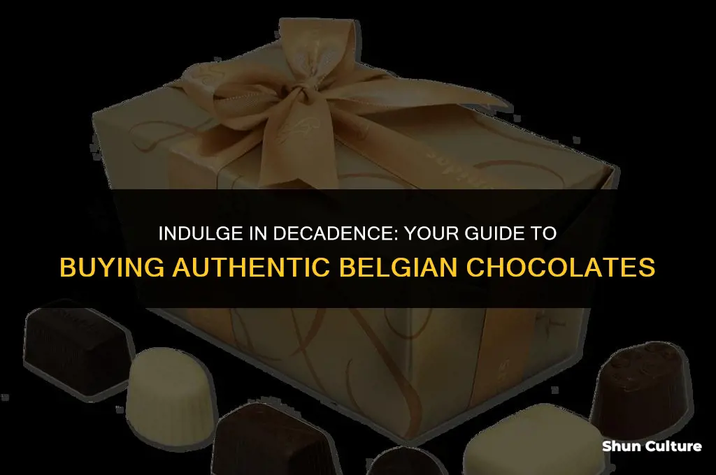 where can I buy belgium chocholates