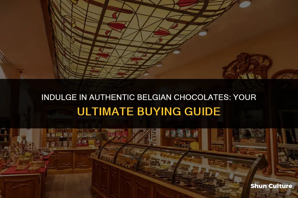 where can I buy belgium chocolate