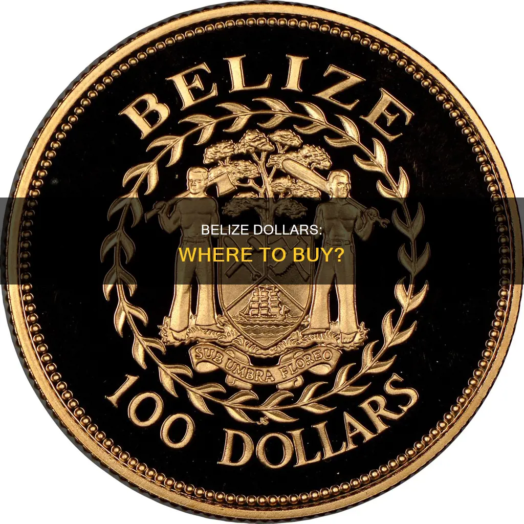 where can I buy belize dollars