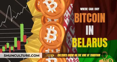 Belarus' Top Bitcoin Exchanges: Where to Buy?