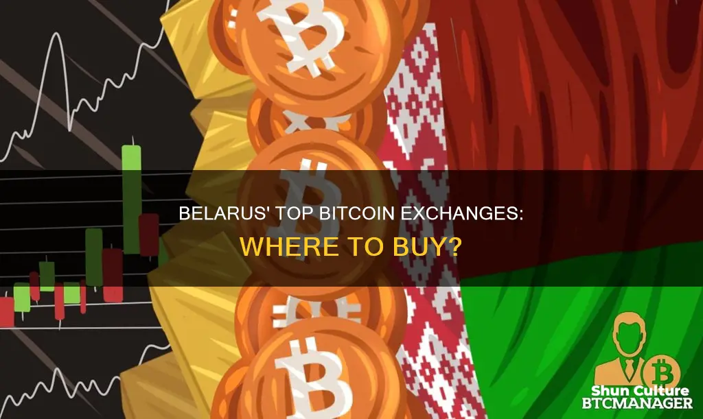 where can I buy bitcoin in belarus