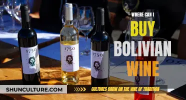 Explore the Best Places to Buy Bolivian Wine