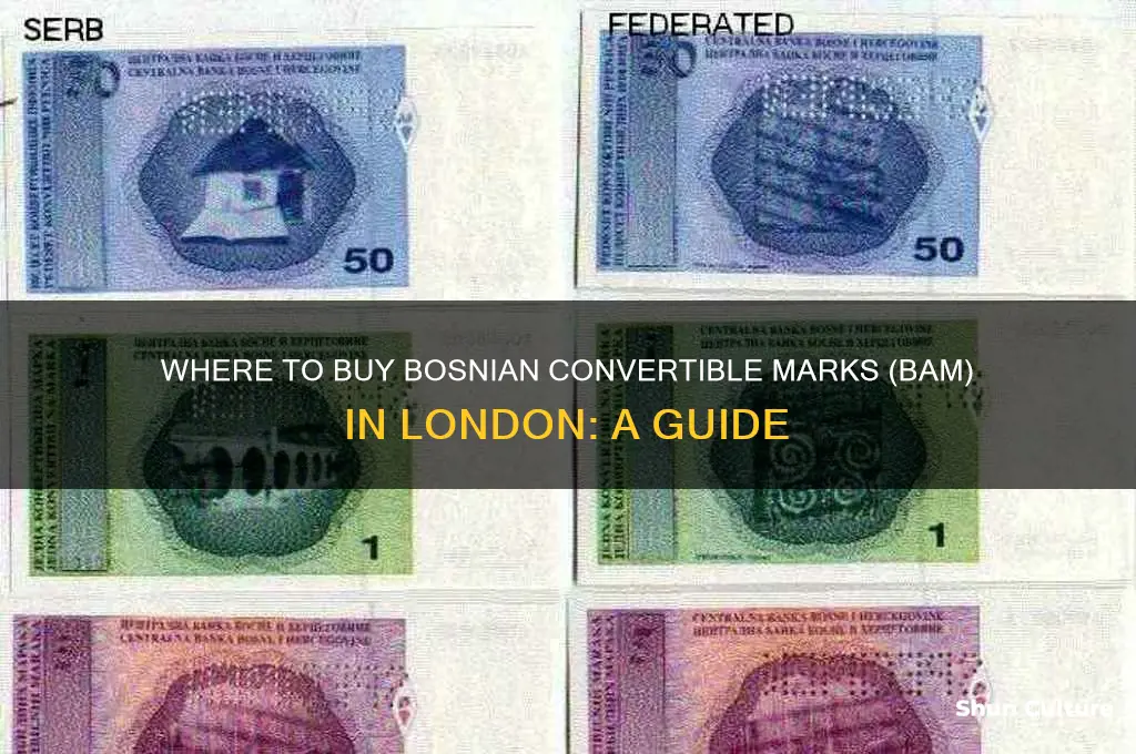 where can I buy bosnian currency in london