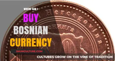Where to Buy Bosnian Currency: A Comprehensive Guide for Travelers
