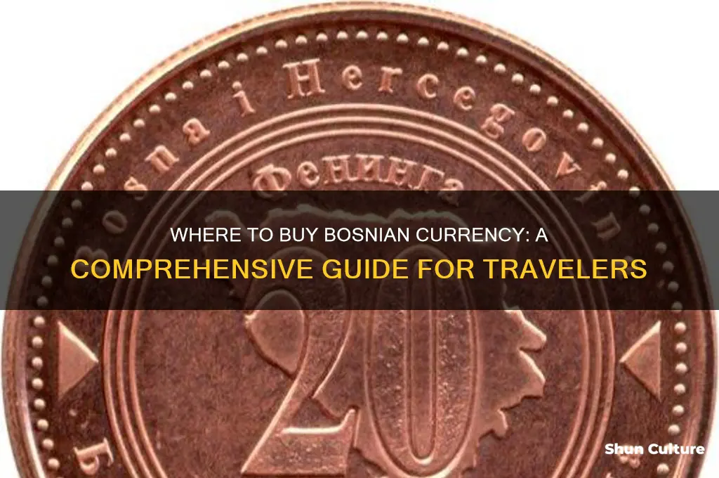 where can I buy bosnian currency