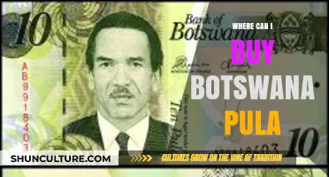 Where to Buy Botswana Pula: A Comprehensive Guide for Travelers