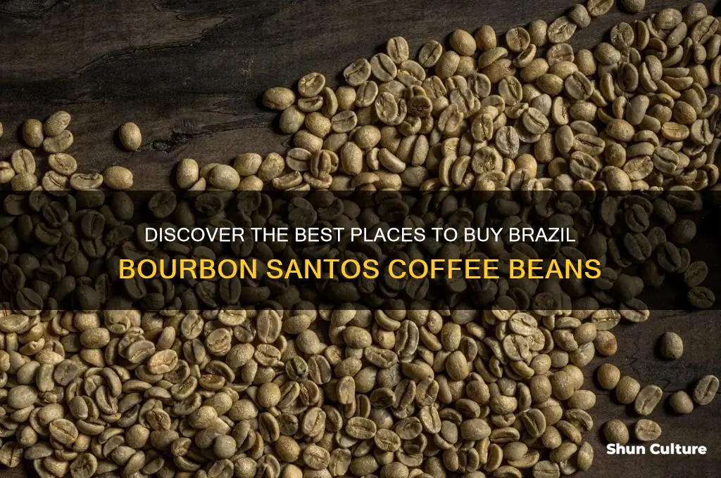 where can I buy brazil bourbon santos coffee beans