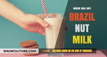 Discover the Best Places to Buy Brazil Nut Milk Online and Locally