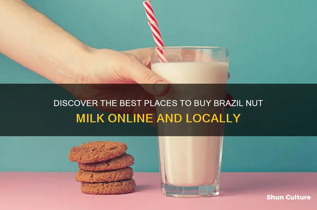 where can I buy brazil nut milk